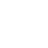 Sustainable Growth